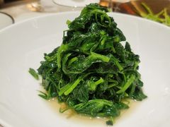 清炒豌豆尖-人间采蜜(海信广场店)