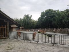 -金沙遗址博物馆