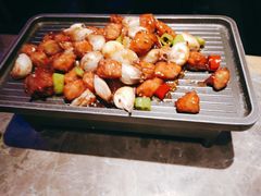 -老板恋上鱼(恒隆广场店)