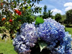 -杭州六谷生态休闲农庄有限公司