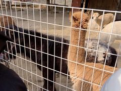 -武汉紫薇都市田园