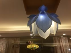 -本真坊美容美体沙龙