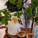 挖到一家环境超治愈的咖啡店☕好适合约会