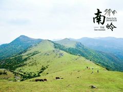 -大姆山草场