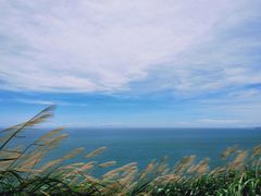-东极岛景区