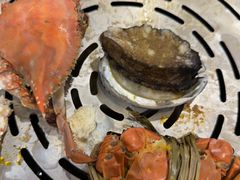 -半岛听涛蒸汽海鲜自助(K11店)