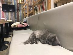 -小时光咖啡馆(开森度假森林店)