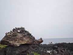 -涉地可支
