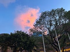 -香港理工大学