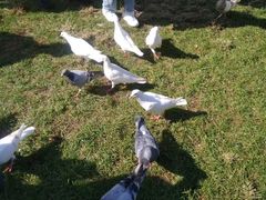 -长白岛森林公园