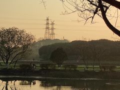 -八卦田遗址公园