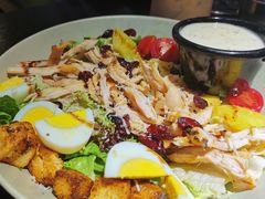 烤鸡肉考博沙拉-机器人火炉披萨