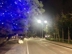 景点-老虎石海上公园