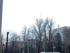 -北海道厅旧本厅舍(旧本庁舎)