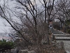 -高尔山公园
