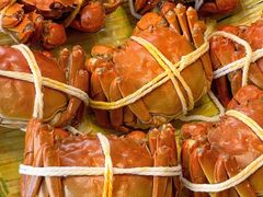 -蟹天蟹地农家菜·阳澄湖大闸蟹(浅水湾店)