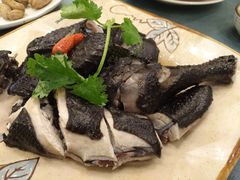 药膳鸡-沙龙酒家