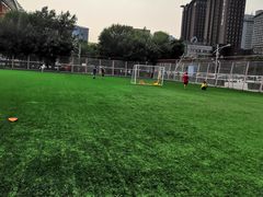 -沈阳奥林匹克体育中心