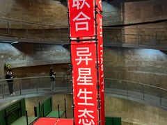 -上海当代艺术博物馆