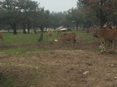 -西安秦岭野生动物园