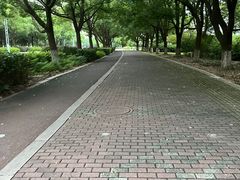 -阳澄湖半岛旅游度假区