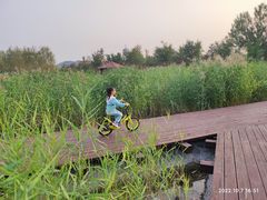 -永定河休闲森林公园