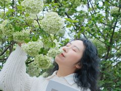 -大龙山(地铁站)