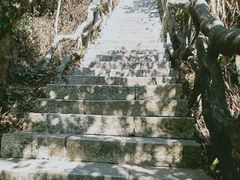 -梧桐山风景名胜区