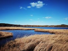 -塞罕坝国家级自然保护区