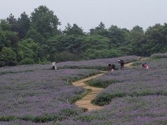 -保利石象湖景区