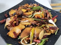 -蘑统田下·野生菌火锅
