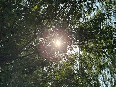 -长白岛森林公园