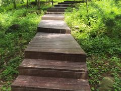 -北京十三陵国家森林公园蟒山景区