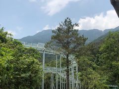 -牛鱼嘴原始生态风景区