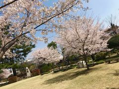-井之头恩赐公园
