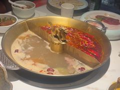 -小龙翻大江文化火锅(宽窄店)