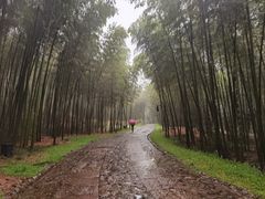 -黄公望隐居地
