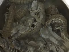 -春华海鲜城(广场西苑店)