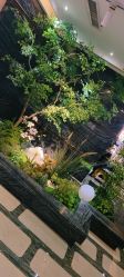 -石家庄苏亚美联臣医疗美容医院
