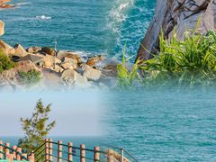 -广东惠东海龟国家级自然保护区