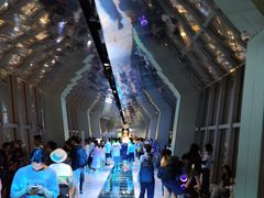 -上海环球金融中心骑迹50年环球之旅
