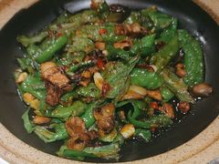 -鸽子窝(青塔店)