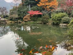 -中国茶叶博物馆(双峰馆区)