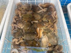 -韩记海鲜饺子旗舰店(红海新区店)