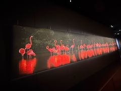 -罗红摄影艺术馆