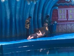 -华夏文旅海洋公园