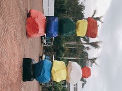 -漳州滨海火山岛自然生态风景区