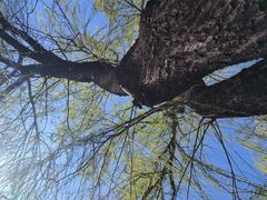 -大玩家(通州万达广场店)