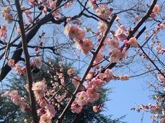 -赭山公园