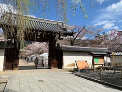 -醍醐寺